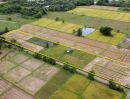 ขายที่ดิน - ที่นา 4-1-64.3 ไร่ น้ำไฟฟ้าพร้อม ถูกที่สุดในสันกำแพง ร้อนเงิน