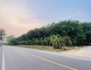 ขายที่ดิน - ขายที่ดินสวนยางพารา ติดถนนดำไฟฟ้าน้ำประปาถึง