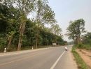 ขายที่ดิน - ขายที่ดินสวนยางพารา ติดถนนดำไฟฟ้าน้ำประปาถึง