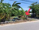 ขายที่ดิน - ขายที่ดิน ซอยเอเบค บางนา-ตราด กม.26 ใกล้สนามบิน