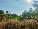 ขายที่ดิน - ขายที่ดินดงบัง 11 ไร่ ติดถนนเส้นโยธาธิการ เข้าซอยจากถนนสี่เลนเส้นสุวรรณศร33-2กม. อ.ประจันตคาม ปราจีนบุรี