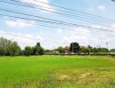 ขายที่ดิน - ขายที่ดิน ตำบลคู้ยายหมี อำเภอสนามชัยเขต ฉะเชิงเทรา ติดเทศบาลสนามชัยเขต
