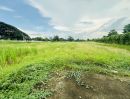 ขายที่ดิน - ขายที่ดิน เขตพื้นที่ EEC เนื้อที่ 9-1-70 ไร่ ถนนดอนนุ่น ตำบลบึง อำเภอศรีราชา จังหวัดชลบุรี