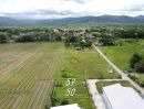 ขายที่ดิน - ที่ดินแบ่งขาย 50 และ 59 ตร.ว. เริ่มต้น 300,000 บาท น้ำไฟถนนคอนกรีตพร้อม!