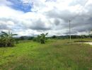 ขายที่ดิน - ที่ดินแบ่งขาย 50 และ 59 ตร.ว. เริ่มต้น 300,000 บาท น้ำไฟถนนคอนกรีตพร้อม!