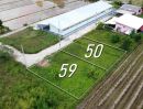 ขายที่ดิน - ที่ดินแบ่งขาย 50 และ 59 ตร.ว. เริ่มต้น 300,000 บาท น้ำไฟถนนคอนกรีตพร้อม!