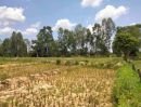 ขายที่ดิน - ขายที่ดินมีโฉนด จำนวน 7 ไร่ มีโฉนดเจ้าของขายเอง ที่ดินติดถนนเส้นหลัก