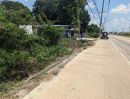 ขายที่ดิน - ขายที่ดินติดถนน 3 ด้าน 12-3-71 ไร่ ทำเลศักยภาพ ติดถนนศุขประยูร พนัสนิคม ชลบุรี