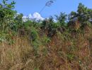 ขายที่ดิน - ขายที่ดินวิวภูเขา อยู่บนเนิน ใกล้ชุมชน (เหมาะทำรีสอร์ทบ้านพักเนินเขา)