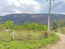 ขายที่ดิน - ที่ดินเขาใหญ่ ถ.ธนะรัชต์ มุ่งหน้าเขาใหญ่