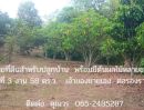 ขายที่ดิน - ขายที่ดินพร้อมต้นผลไม้ เนื้อที่ 3 งาน 58 ตร.ว.