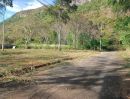 ขายที่ดิน - ขายที่ดินเขาใหญ่ หมูสี 1 ไร่ อยู่บนถนนธนะรัชต์ ใกล้ทางขึ้นอุทยานแห่งชาติเขาใหญ่ ใกล้สามแยกกุดคล้า วิวเขาสวยมาก ต้นไม้เยอะ ทำเลดีมาก ใกล้ร้านค้าตลาดนัด