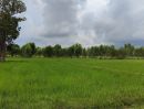 ขายที่ดิน - ขายที่ดิน(ที่นา) เจ้าของขายเองราคาต่อรองได้ ที่ดินสวยเหมาะสำหรับทำเกษตรมีพิ้นที่ขนาน 27 ไร่ 1 งาน 52 ตารางวา