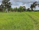 ขายที่ดิน - ขายที่ดิน(ที่นา) เจ้าของขายเองราคาต่อรองได้ ที่ดินสวยเหมาะสำหรับทำเกษตรมีพิ้นที่ขนาน 27 ไร่ 1 งาน 52 ตารางวา