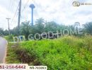 ขายที่ดิน - ที่ดิน 12 ไร่ 43.70 ตร.ว. หลังสวน ชุมพร ใกล้ โลตัสหลังสวน