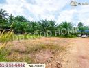 ขายที่ดิน - ที่ดิน 12 ไร่ 43.70 ตร.ว. หลังสวน ชุมพร ใกล้ โลตัสหลังสวน