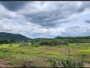 ขายที่ดิน - ขายที่ดินใกล้แยกเนินโมก ถนน 331 อ.บ้านบึง ชลบุรี