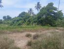 ขายที่ดิน - ขายด่วนที่ดินพื้นที่ท่องเที่ยวทางทะเล หาดแหลมสิงห์