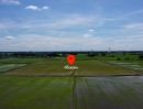 ขายที่ดิน - ขาย ที่ดิน บางปลา อ.บางเลน จ.นครปฐม ปัจจุบันทำนา ราคาต่อรองได้