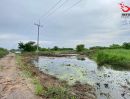ขายที่ดิน - ขายที่ดินคลอง 10 2 ไร่ ถนนรังสิต-นครนายก ธัญบุรี ปทุมธานี
