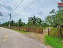 ขายที่ดิน - ขายที่ดิน 16 ไร่ 64 ตร.วา สมุทรสงคราม พร้อม รีสอร์ทและสวนมะพร้าว