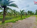 ขายที่ดิน - ขายที่ดิน 16 ไร่ 64 ตร.วา สมุทรสงคราม พร้อม รีสอร์ทและสวนมะพร้าว
