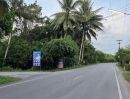ขายที่ดิน - ขายที่ดิน อ.หลังสวน จ.ชุมพร ใกล้แยกคอกเป็ด