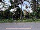 ขายที่ดิน - ขายที่ดิน ต.ขันเงิน 87.2 ตรว อ.หลังสวน จ.ชุมพร
