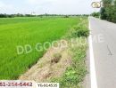 ที่ดิน - ที่ดินไทรน้อย 200 ตร.ว. นนทบุรี ใกล้วัดปลายคลองขุนศรี