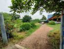 ขายบ้าน - ขายที่ดินพร้อมบ้านชั้นเดียว ติดถนนเลียบคลอง10 รังสิต-นครนายก หนองเสือ พื้นที่ 400 ตรว. สามารถทำสวนได้อยู่ติดถนน หน้ากว้าง 20 เมตร