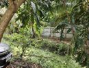 ขายที่ดิน - ขายที่ดินติดริมแม่น้ำท่าจีน สมุทรสาคร อำเภอบ้านแพ้ว ตำบลสวนส้ม 5 ไร่ 3 งาน ไร่ละ 6 ล้านบาท เจ้าของขายเอง