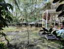 ขายที่ดิน - ขายที่ดินติดริมแม่น้ำท่าจีน สมุทรสาคร อำเภอบ้านแพ้ว ตำบลสวนส้ม 5 ไร่ 3 งาน ไร่ละ 6 ล้านบาท เจ้าของขายเอง