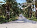 ขายที่ดิน - ขายที่ดินติดริมแม่น้ำท่าจีน สมุทรสาคร อำเภอบ้านแพ้ว ตำบลสวนส้ม 5 ไร่ 3 งาน ไร่ละ 6 ล้านบาท เจ้าของขายเอง