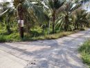 ขายที่ดิน - ขายที่ดินติดริมแม่น้ำท่าจีน สมุทรสาคร อำเภอบ้านแพ้ว ตำบลสวนส้ม 5 ไร่ 3 งาน ไร่ละ 6 ล้านบาท เจ้าของขายเอง