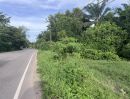 ขายที่ดิน - ขายที่ดิน ติดหมู่บ้านสมศิริ ใกล้แยกคอกเป็ด 3งาน 77 ตรว
