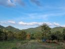 ขายที่ดิน - ขายบ้านสวนเขาใหญ่ พร้อมสวนผลไม้ ไม้เศรษฐกิจ ที่ดิน 19ไร่ เขาวง หนองน้ำแดง ปากช่อง วิวเขาสวยมากติดถนนลาดยาง7165 ใกล้มิตรภาพ ภบท.ท้ายที่อีก9ไร่ รวม27ไร่