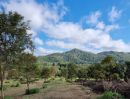 ขายที่ดิน - ขายบ้านสวนเขาใหญ่ พร้อมสวนผลไม้ ไม้เศรษฐกิจ ที่ดิน 19ไร่ เขาวง หนองน้ำแดง ปากช่อง วิวเขาสวยมากติดถนนลาดยาง7165 ใกล้มิตรภาพ ภบท.ท้ายที่อีก9ไร่ รวม27ไร่