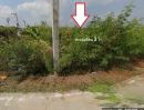 ขายที่ดิน - ขายที่ดินเปล่า 3 ไร่ บางบัวทอง นนทบุรี ใกล้คลองประปา ติดถนน ถนนบางแม่นาง พร้อมโอน ที่ดินหันหน้าทิศตะวันออก
