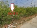 ขายที่ดิน - ขายที่ดินเปล่า 3 ไร่ บางบัวทอง นนทบุรี ใกล้คลองประปา ติดถนน ถนนบางแม่นาง พร้อมโอน ที่ดินหันหน้าทิศตะวันออก