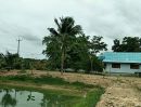 ขายที่ดิน - บ้านสวนพร้อมที่ดิน5ไร่ราคาถูก เจ้าของขายเอง ที่ดินสวยปลูกทุกอย่างขึ้น