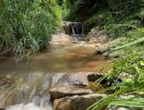 ขายที่ดิน - ขายที่ดินติดน้ำตกบ้านแม่สาบสะเมิงโฉนดพร้อมโอน