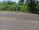 ขายที่ดิน - ขายที่ดิน ราคาถูก 2 ไร่ ต.หนองตาด อ.เมือง จ.บุรีรัมย์