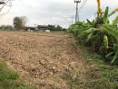 ขายที่ดิน - ขายที่ดินติดถนนสาย 1317 ทำเลดีค้าขายได้โฉนดพร้อมโอน