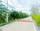 ขายที่ดิน - ขายที่ดิน ซอยคลองสาม 5/9 (โรงเรียนวัดเกิด)