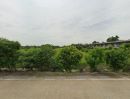 ขายที่ดิน - ขายและให้เช่าที่ดิน 2 แปลง ติดถนนบางบัวทอง-สุพรรณบุรี จังหวัดนนทบุรี