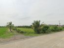 ขายที่ดิน - ขายและให้เช่าที่ดิน 2 แปลง ติดถนนบางบัวทอง-สุพรรณบุรี จังหวัดนนทบุรี