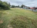 ขายที่ดิน - ขายที่ดิน เนื้อที่ 240 ตรว อยู่กลางหมู่บ้าน เหมาะทำการค้าเกี่ยวเกษตร