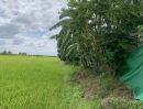 ขายที่ดิน - ขายที่ดินแปลงสวย ทำเลทอง ซอยวัดลาดปลาดุก อ.บางบัวทอง จ.นนทบุรี 13 ไร่ 2 งาน