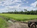ขายที่ดิน - ขายที่ดินแปลงสวย ทำเลทอง ซอยวัดลาดปลาดุก อ.บางบัวทอง จ.นนทบุรี 13 ไร่ 2 งาน