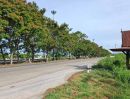 ขายที่ดิน - ขายที่ดินติดถนน 340 พร้อมอาคารทำธุรกิจ บางปลาม้า